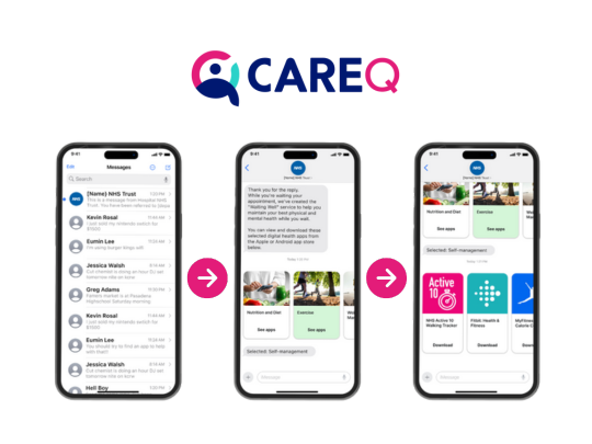 CareQ Website 540x405