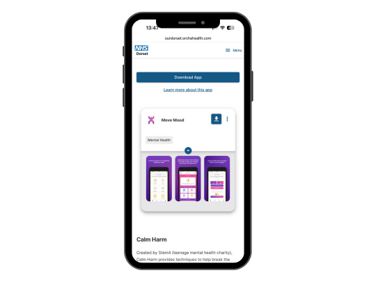 NHS Dorset Mental health Website 540x405 (2)